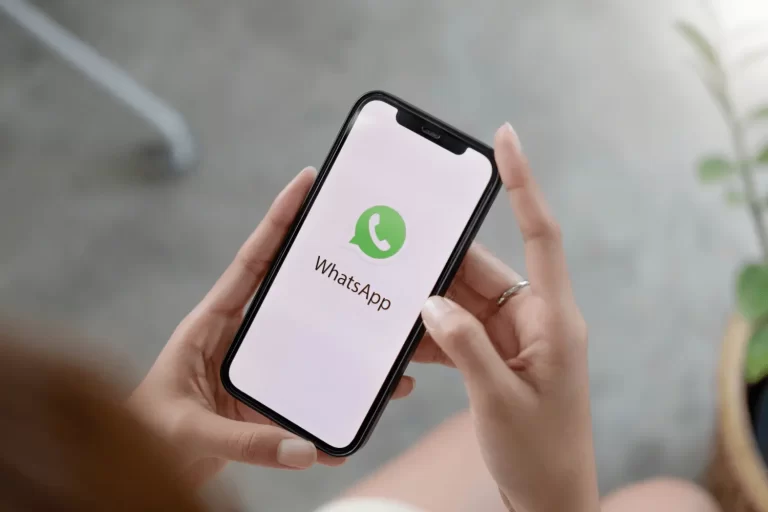 WhatsApp Blast – Unlocking Marketing Power