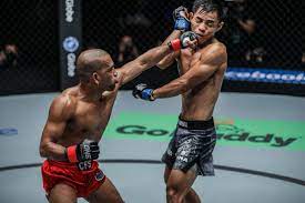 MMA: Seni Bela Diri Campuran dan Fenomena Global