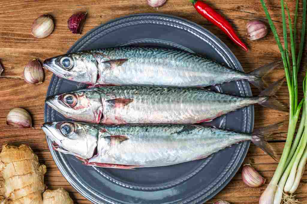 4 Jenis Ikan: Rendah Duri dengan Kandungan Gizi Super Menu Sehat Keluarga