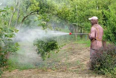 warga tentang pentingnya menjaga kebersihan lingkungan dan menghindari penampungan air yang bisa menjadi tempat berkembang biak nyamuk penyebab Demam Berdarah