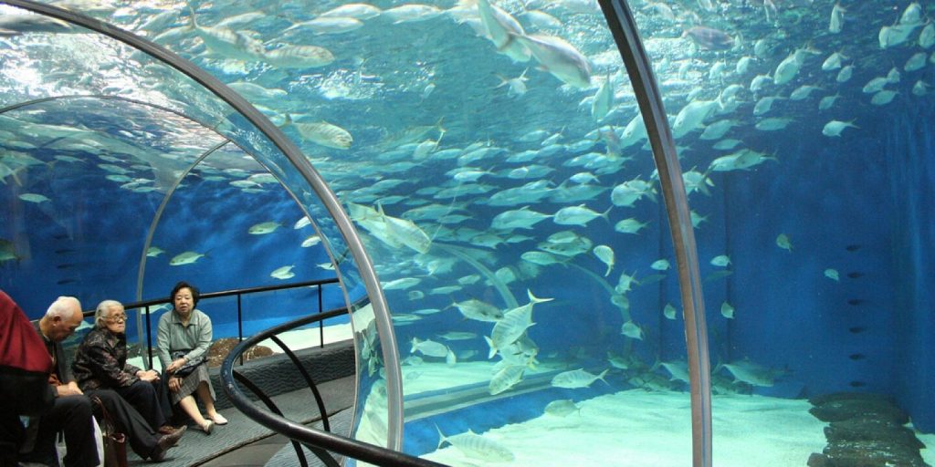 Sejarah dan Pembukaan Shanghai Ocean Aquarium
