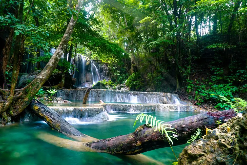 Wisata Alam