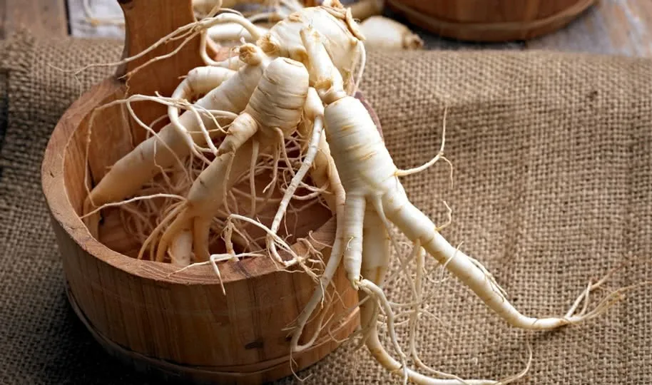 Ginseng Asia