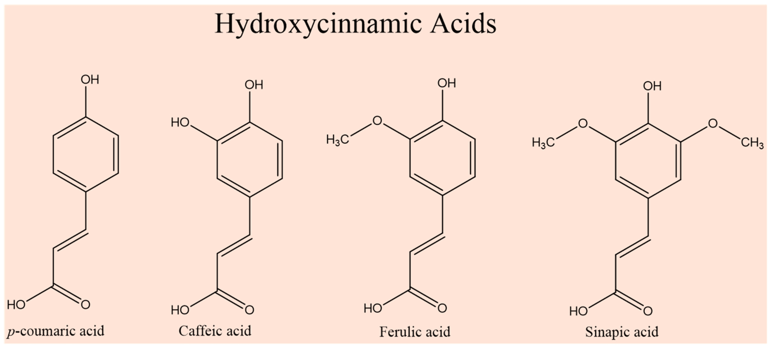 Ferulic Acid