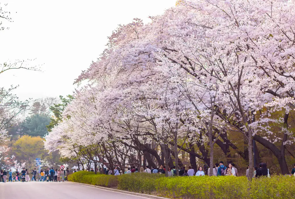 Akses Mudah dan Fasilitas Lengkap