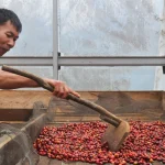 Keresahan Petani Kopi