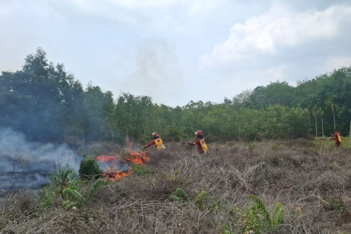Pria Bengkalis Ditangkap