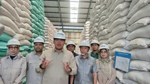 Cadangan Beras Melimpah