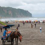 Pantai Parangtritis
