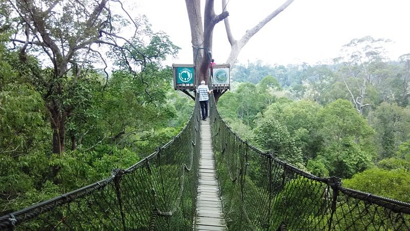 Bukit Bangkirai Canopy